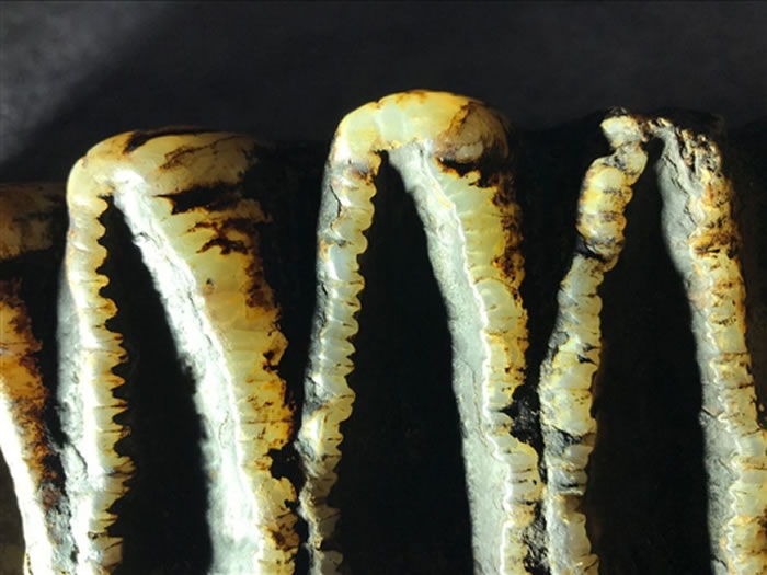 �����������Ⱥ�ܶ��з��ֽ�����ʯ