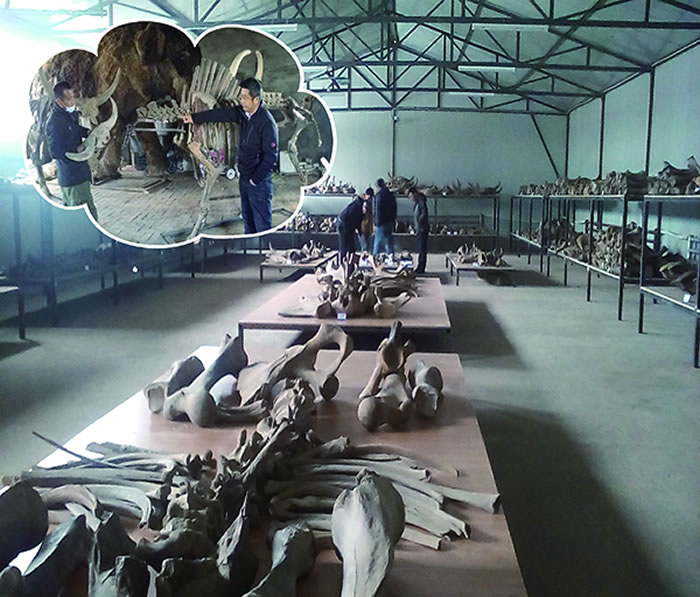 ��Էḻ�Ĺ����ﻯʯ