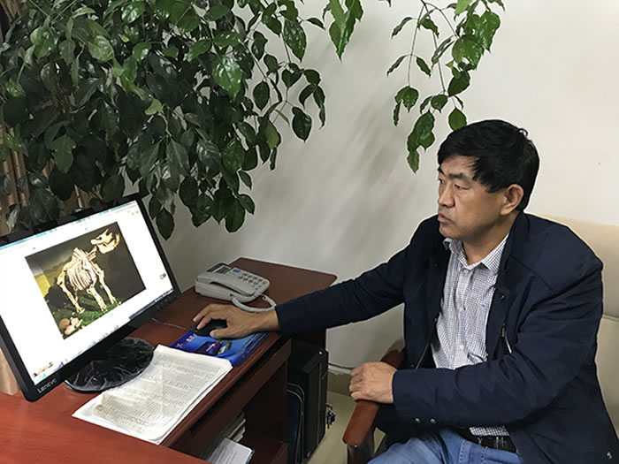 ���ģ��ڻ������Ϻǻ���ʯ