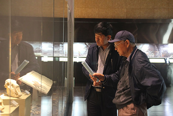 ���ģ��ڻ������Ϻǻ���ʯ