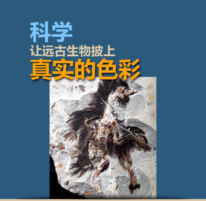 �Ͼ������ﲩ����Ƴ�����ѧ����Զ������������ʵ��ɫ�ʡ�������չ