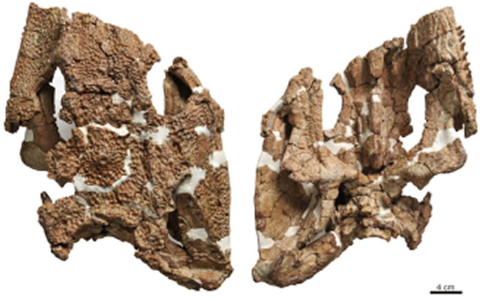 ʯ���ƿ����ͷ�Ǽ���ԭͼ������ ��ͼ��