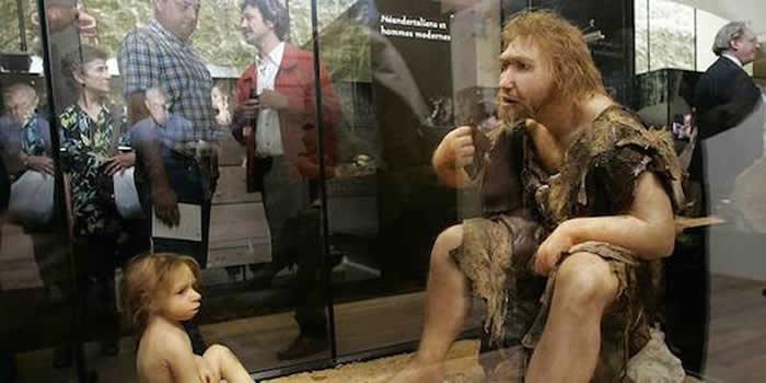 ���ᰲ�����ˡ�չ��