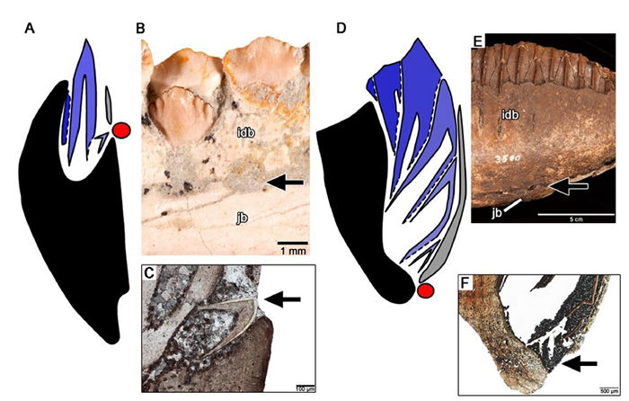 �����������о�ȡ����Ҫ�ɹ������ֿ��������ʲ��ƹ���������¼
