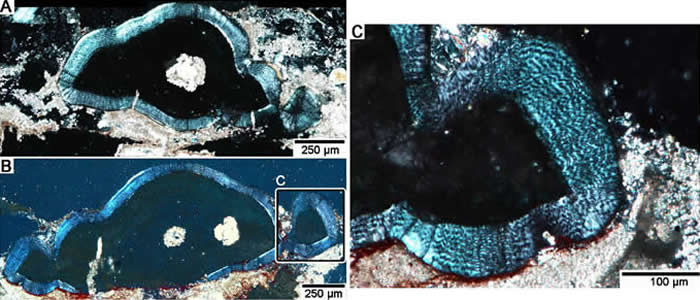 �����������о�ȡ����Ҫ�ɹ������ֿ��������ʲ��ƹ���������¼