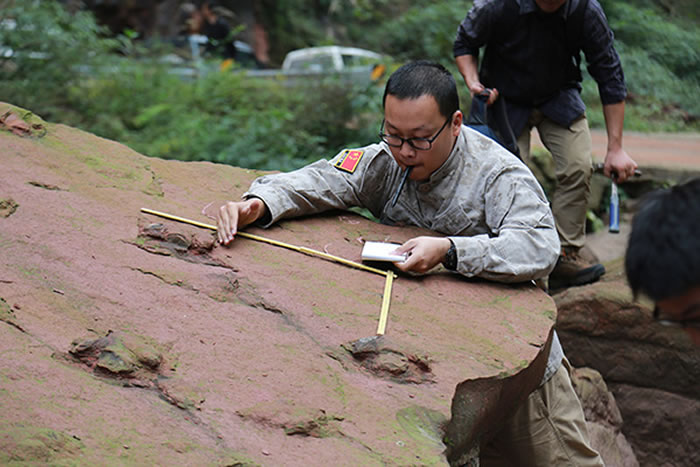 ����������о����еġ�ƴ�����ɡ�