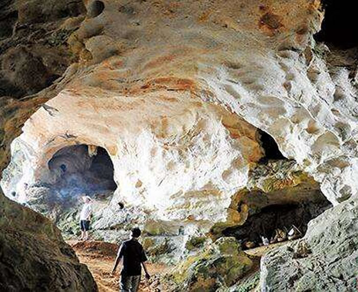 ������ַ����������ʷǰĹ�᣿�㶫Ӣ��������ַ���ųɹ�ר����֤���ٿ�