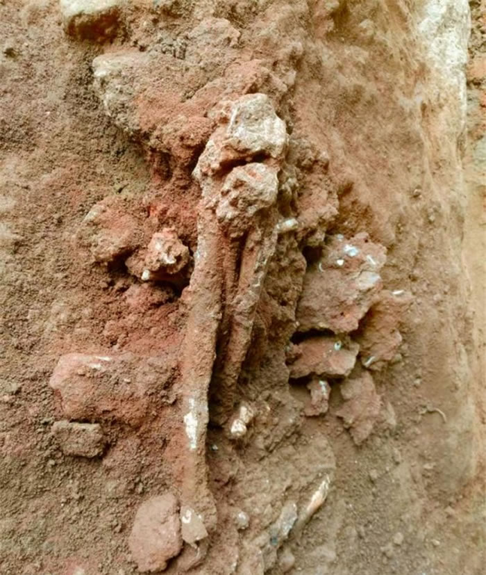 ������ַ����������ʷǰĹ�᣿�㶫Ӣ��������ַ���ųɹ�ר����֤���ٿ�