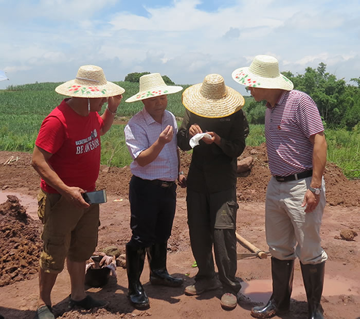 ����־���Ͻ�������ʯ�Ļ���������