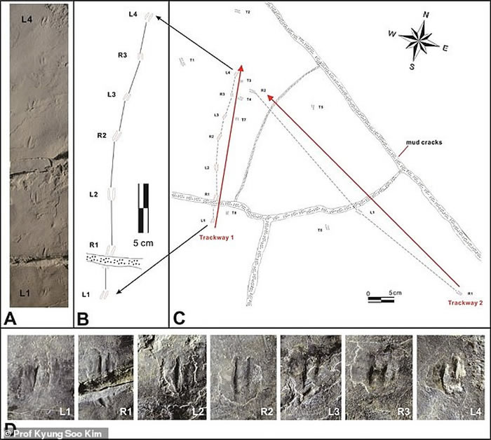 ����������������С�Ŀ�����ӡ��ʯ �Ʋ����ν�����ȸ��С