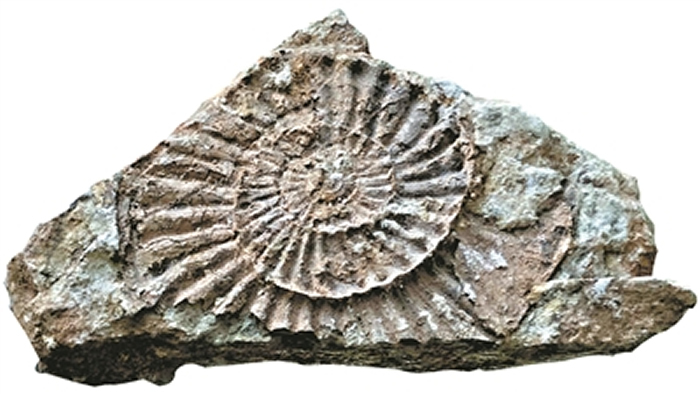 ��������ľ�ʯ��ʯ