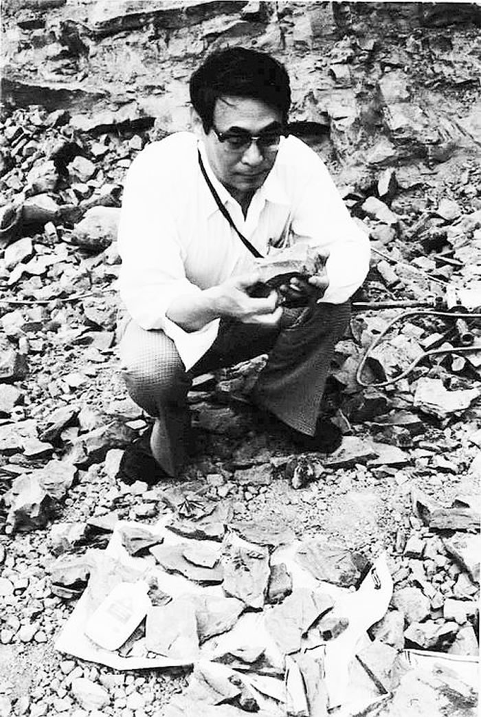 �����򣺲�����ȴ�Ĺ�����ѧ̩��