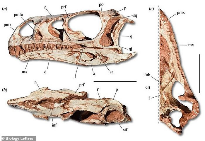 ��������2.25��ǰ�����ӿ���