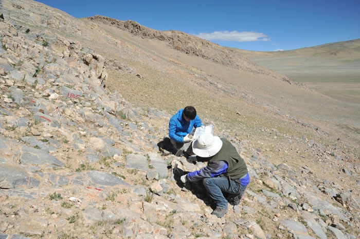 研究人员野外工作照片