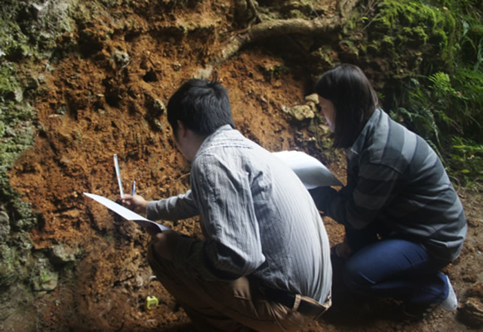 Ѱ���ִ�������Դ�����Ǵ�һ����ɢ���Ǹ��ش����ഫ