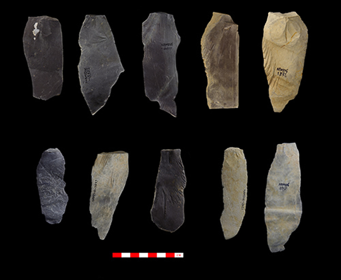 �ᰢ����ַ���¿��ŷ��ֽ������״ε�����ظ�ԭ����ʷ��ǰ��4����ǰ