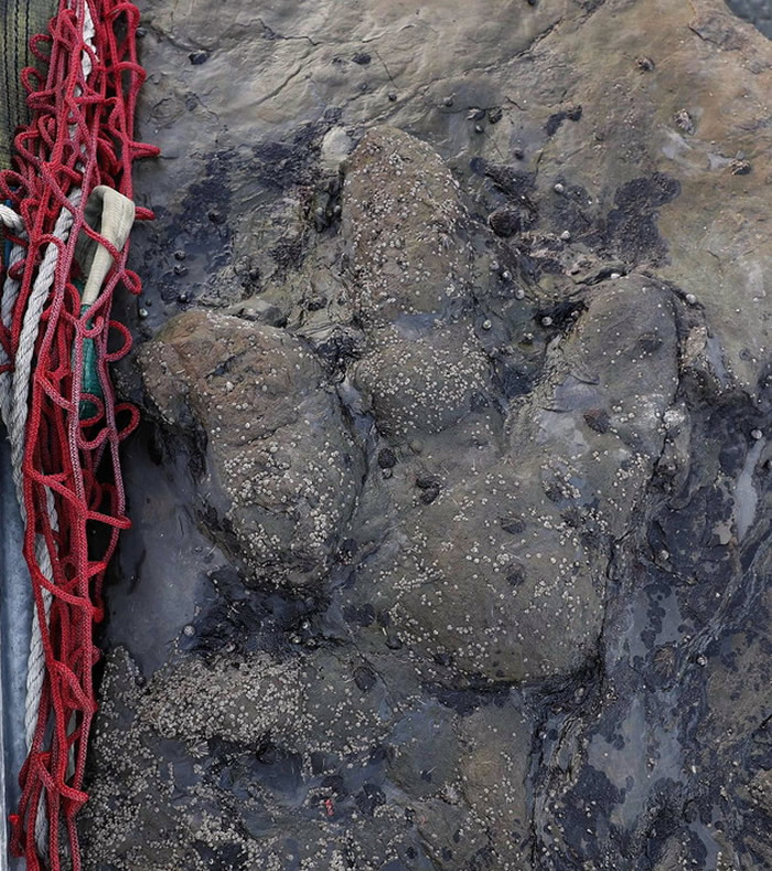 ��������˹ͼ����˹ʡ�����޽���Ŀ������ӡ��ʯ