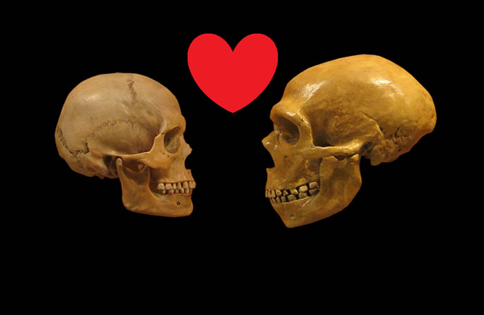 �ᰲ���������ִ�����������λ�����