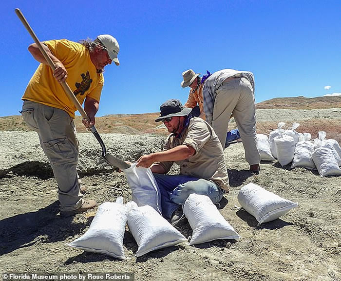 5600����ǰ�ִ��鳤Ŀ������֪�������ȡ����Ϻ���ڱ�����½������