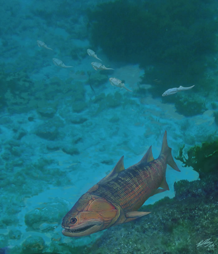 3����ǰ�Ĺ�����ΪʲôҪ����½��