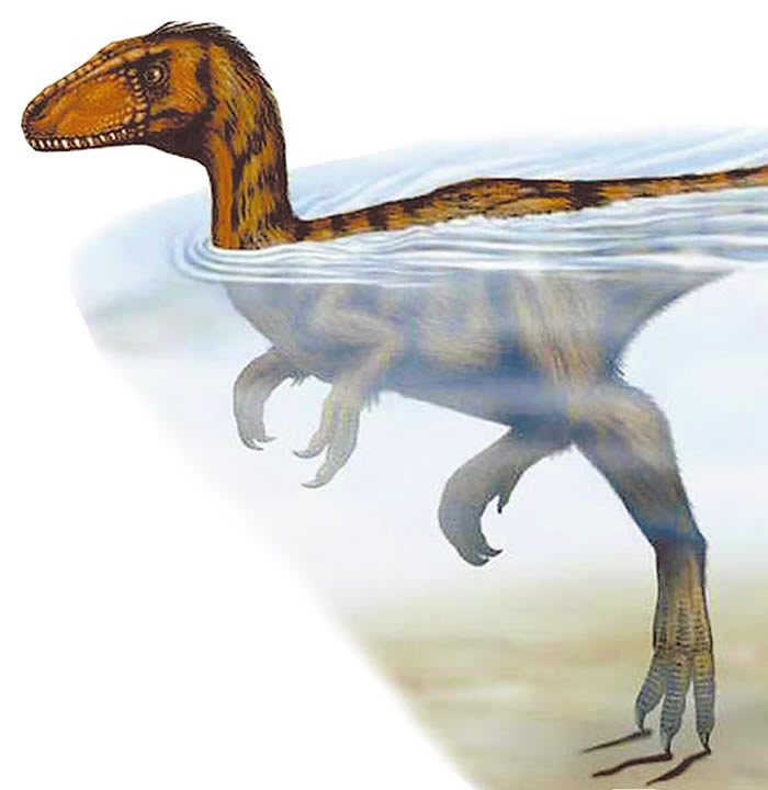 �Ĵ�ʡ��ɽ�����������Ѿ��������޸¿���ը�������㼣 �������1��ƽ������