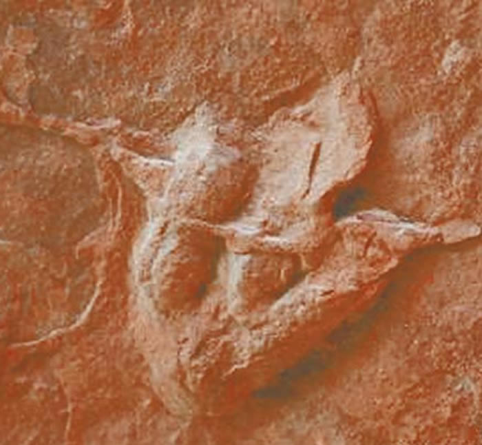 �Ĵ�ʡ��ɽ�����������Ѿ��������޸¿���ը�������㼣 �������1��ƽ������