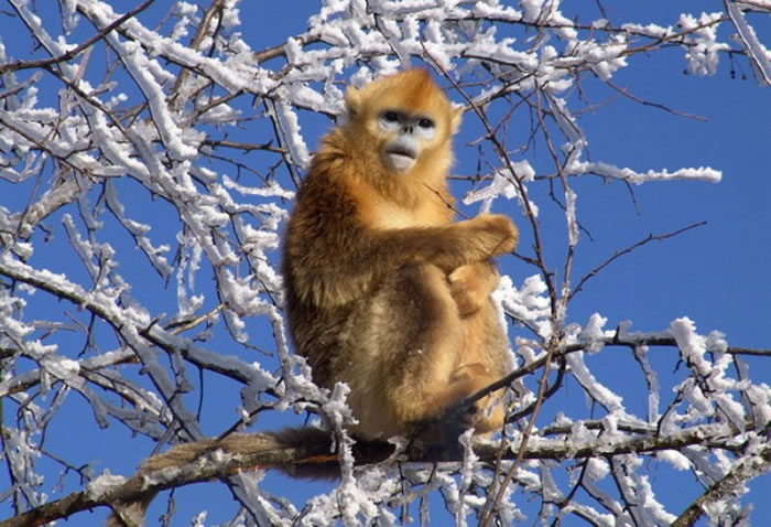 ����˿����Դ�ͽ�����ʷ�о�ȡ����Ҫ��չ