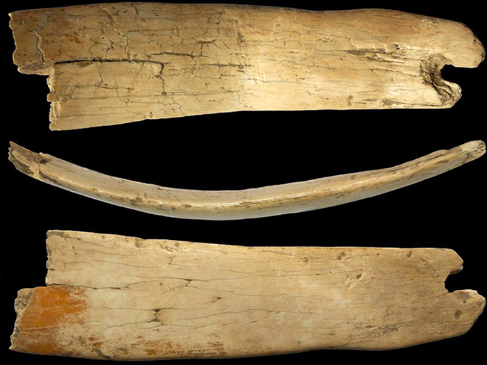 发现“丹尼索瓦人”5万年前制作的猛犸象象牙饰品