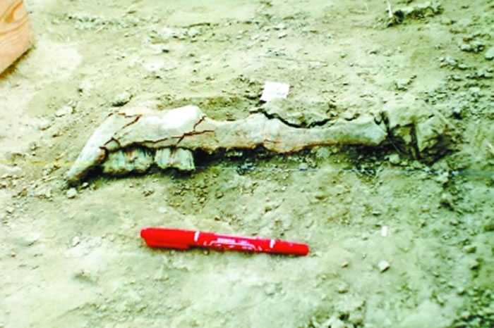 �����ֳ����ֵ��޹�