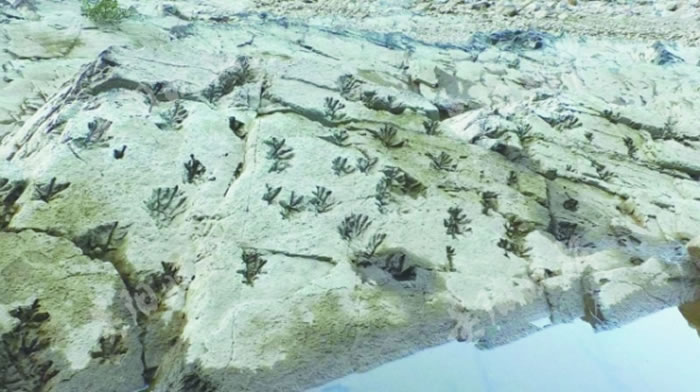 ���������ض��������������ˮ��ȥ���֡��ϻ�����ӡ�ۻ�ʯ