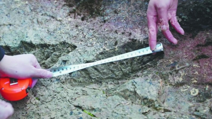 ���������ض��������������ˮ��ȥ���֡��ϻ�����ӡ�ۻ�ʯ