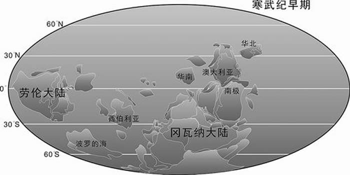 Paterimitra�ŵ����ֲ�ͼ