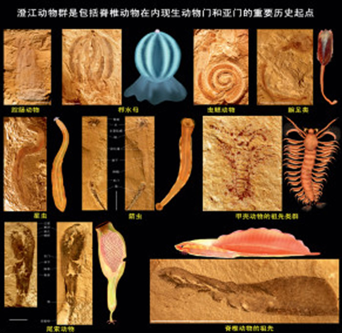 �ν�����Ⱥ�͡����ӡ��о���ѡ�й���ѧԺ�����ĸ￪����ʮ���־���ش�Ƽ��ɹ�