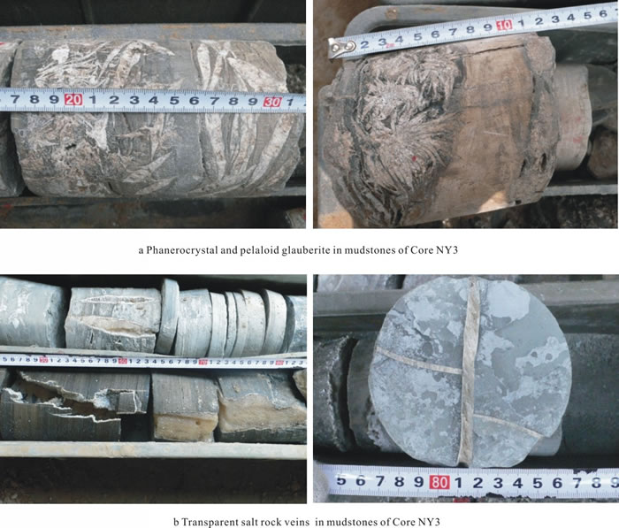 ��¹����NY3���б��������������