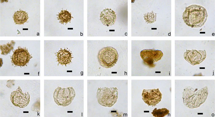 ��¹����NY3���з��ֵĹ���������