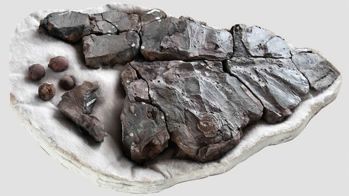 ���Ϻ�����ɳ̲�ϲ��´��м�Ӳ�ҿ���ǵĵ�