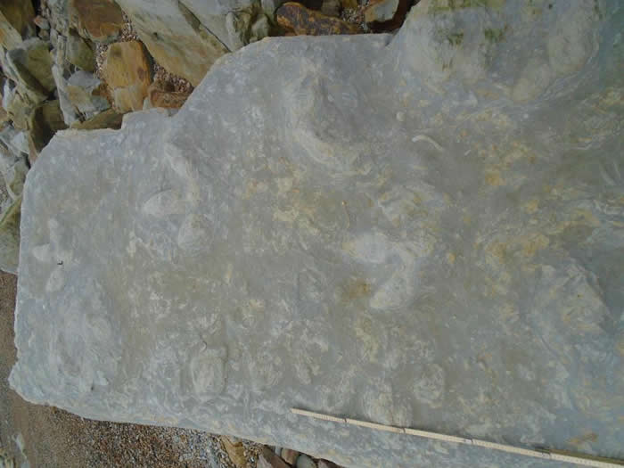 Ӣ����������˹��˹͢˹����85��������õĿ�����ӡ��ʯ