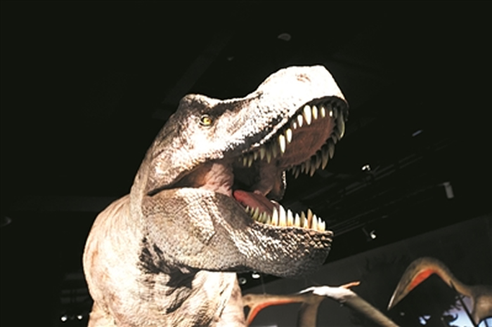 �㽭��Ȼ����Ժ�¹����������ݡ�����ӭ�� �����������������