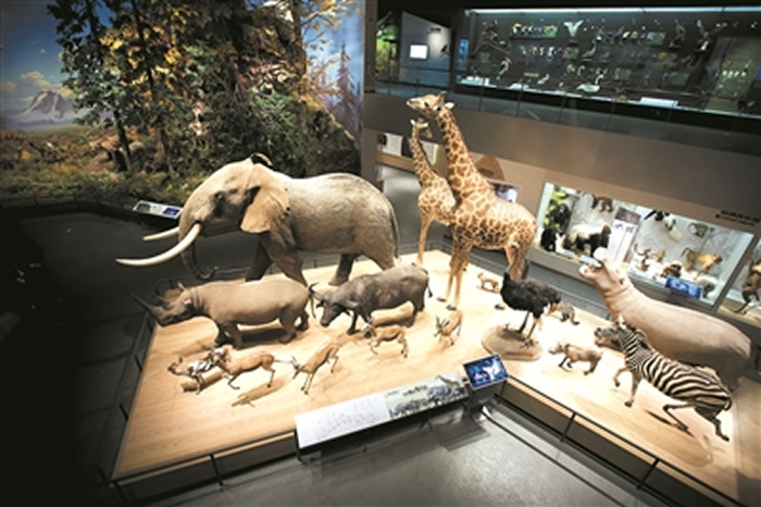 �㽭��Ȼ����Ժ�¹����������ݡ�����ӭ�� �����������������