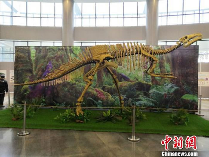 ��Ѱ���ʼ������ꡪ������Զ������̽��չ���ڹ���������չ