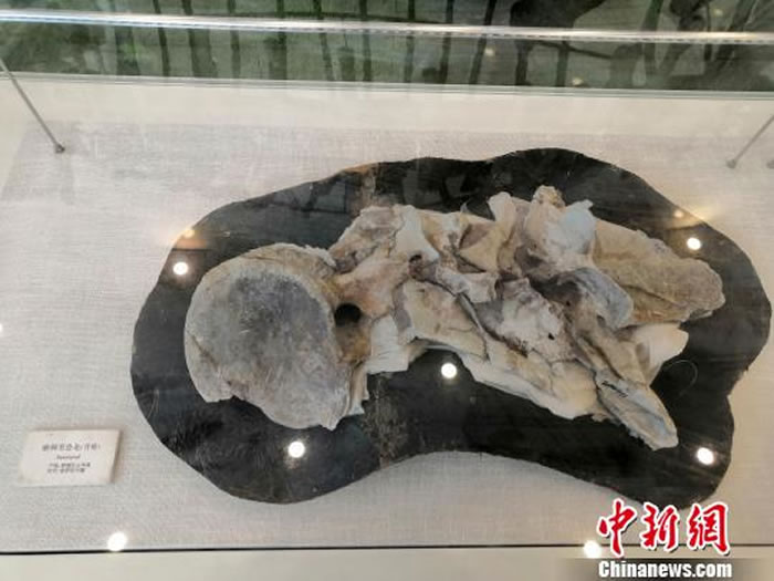 ��Ѱ���ʼ������ꡪ������Զ������̽��չ���ڹ���������չ