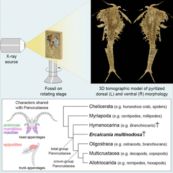 ����͡���ڶ��Ĵ�桱��ʯ��ʾ���׿��ද��������Ŀ
