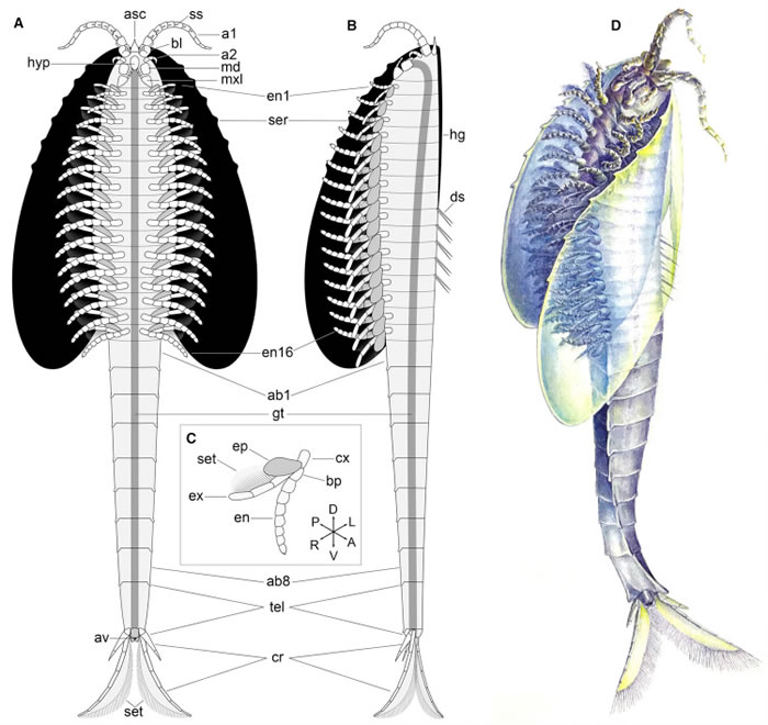 ����͡���ڶ��Ĵ�桱��ʯ��ʾ���׿��ද��������Ŀ