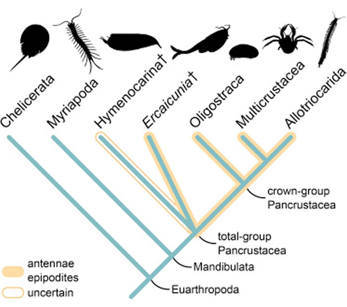 ����͡���ڶ��Ĵ�桱��ʯ��ʾ���׿��ද��������Ŀ