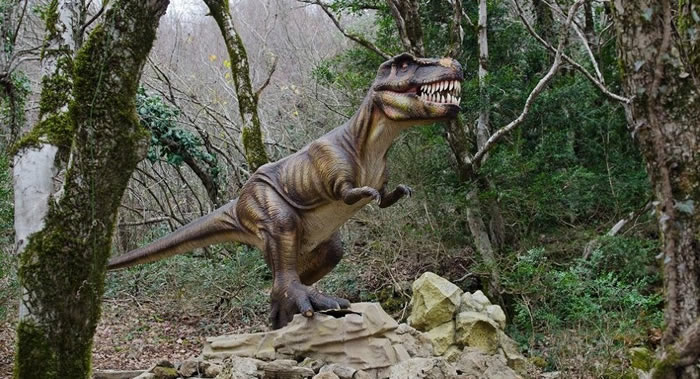 ¿ѧģСǡϣ³ײĺХѺ