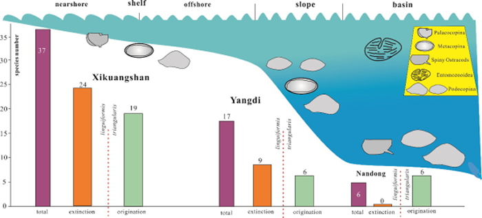 ������������F-F֮�����������ģʽ