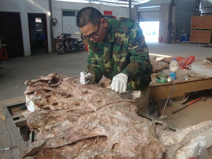 ũ������Ļ�ʯ��������л����