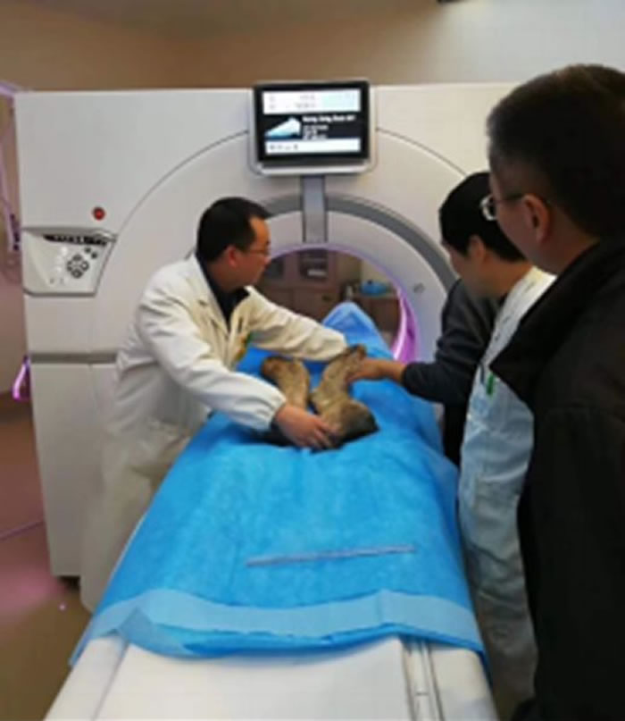 Ӣ��SCI�ڿ�����ʷ����ѧ�����Ĵ������٪�����޼���(����������Ŀ)�Ĺɹǲ���