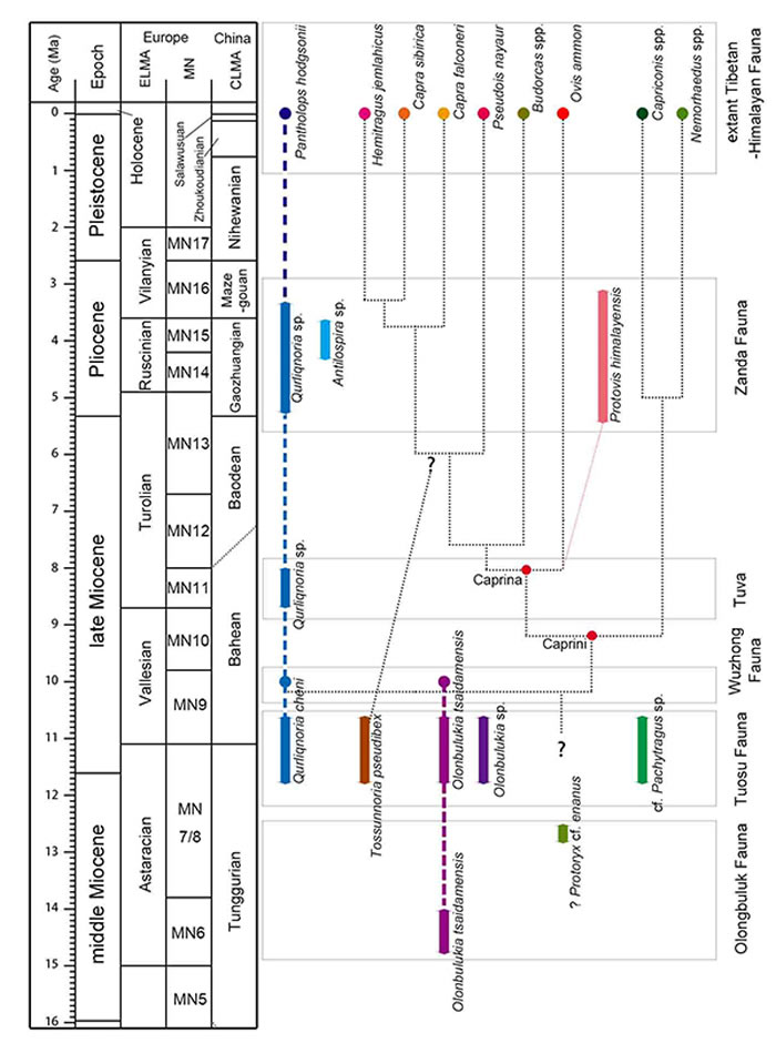 �ִ����ǿƼ�������Ⱥ����ظ�ԭ�ܱߵ��ݻ���ϵ�������빩ͼ��