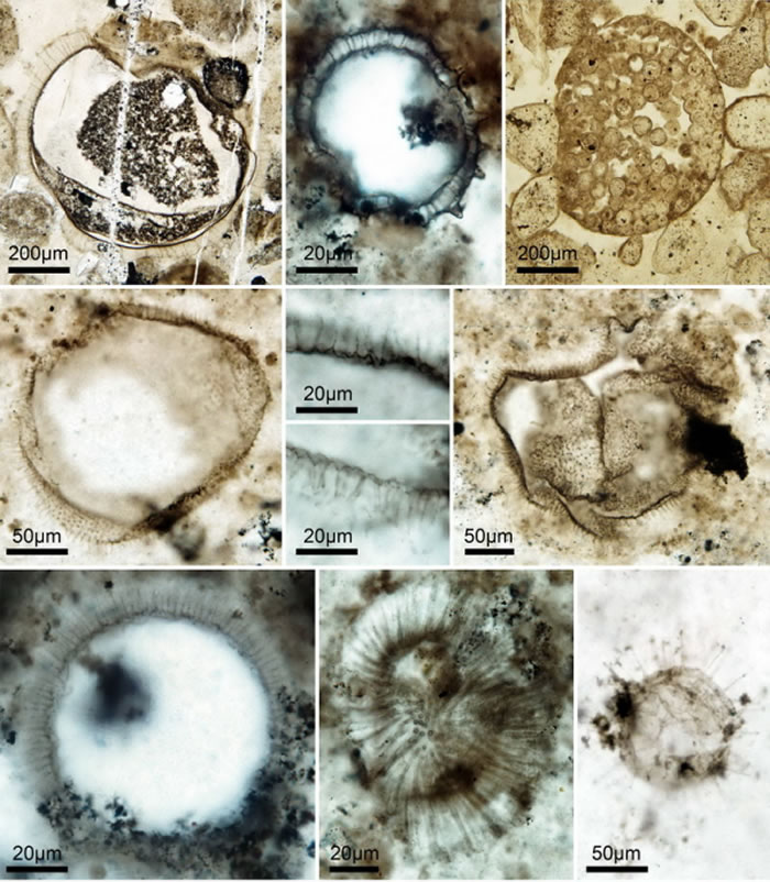 ��������ƺ��ɽ���������Դ�����